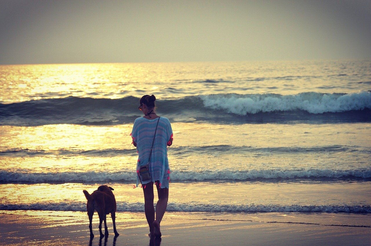 Banner 7