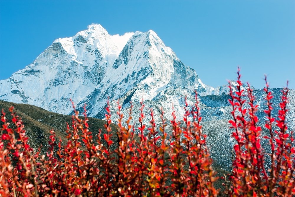 Banner 1